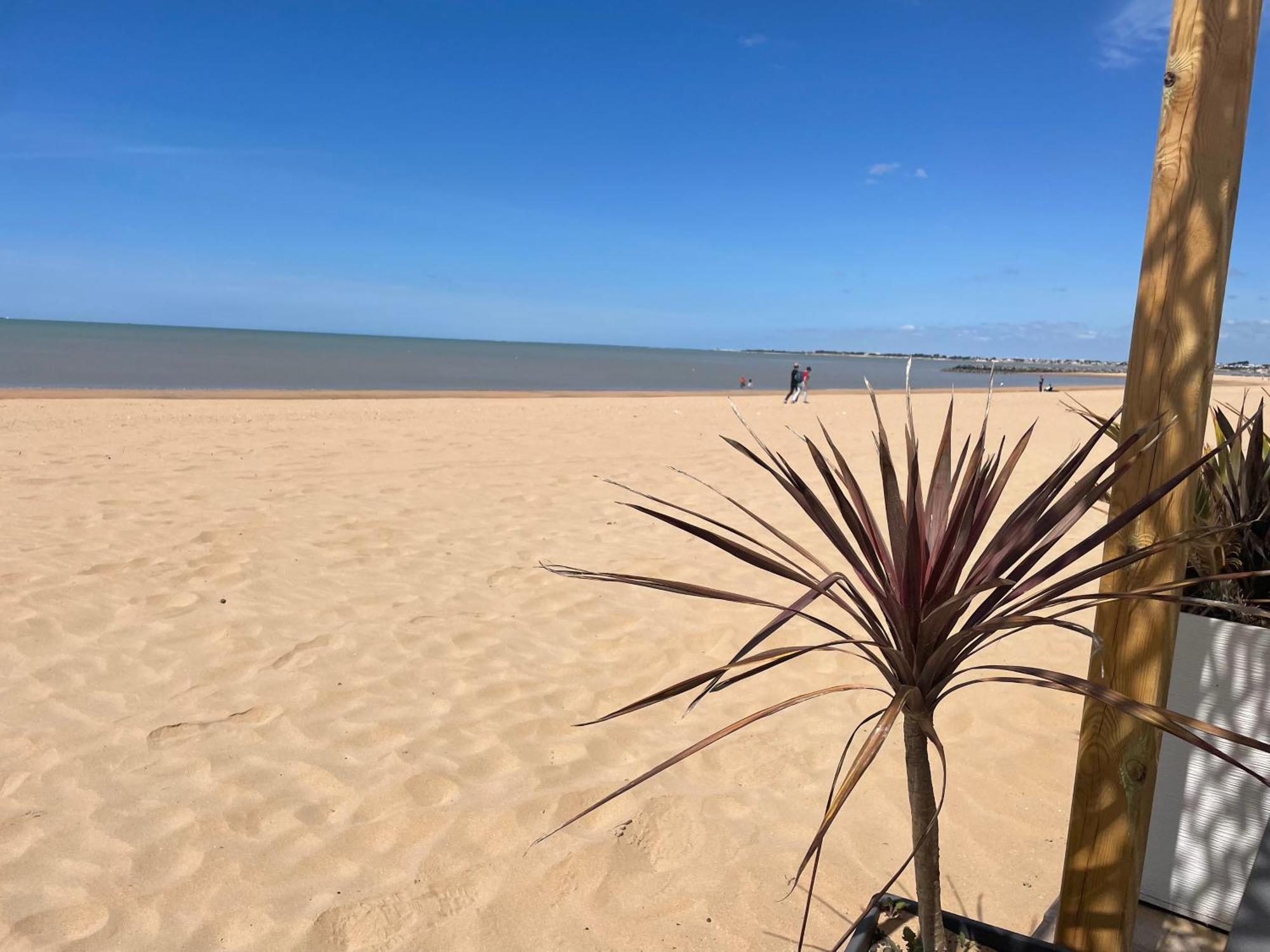 Acadie Saint Victor - Hotel Restaurant - Face Mer - Chatelaillon Plage ภายนอก รูปภาพ